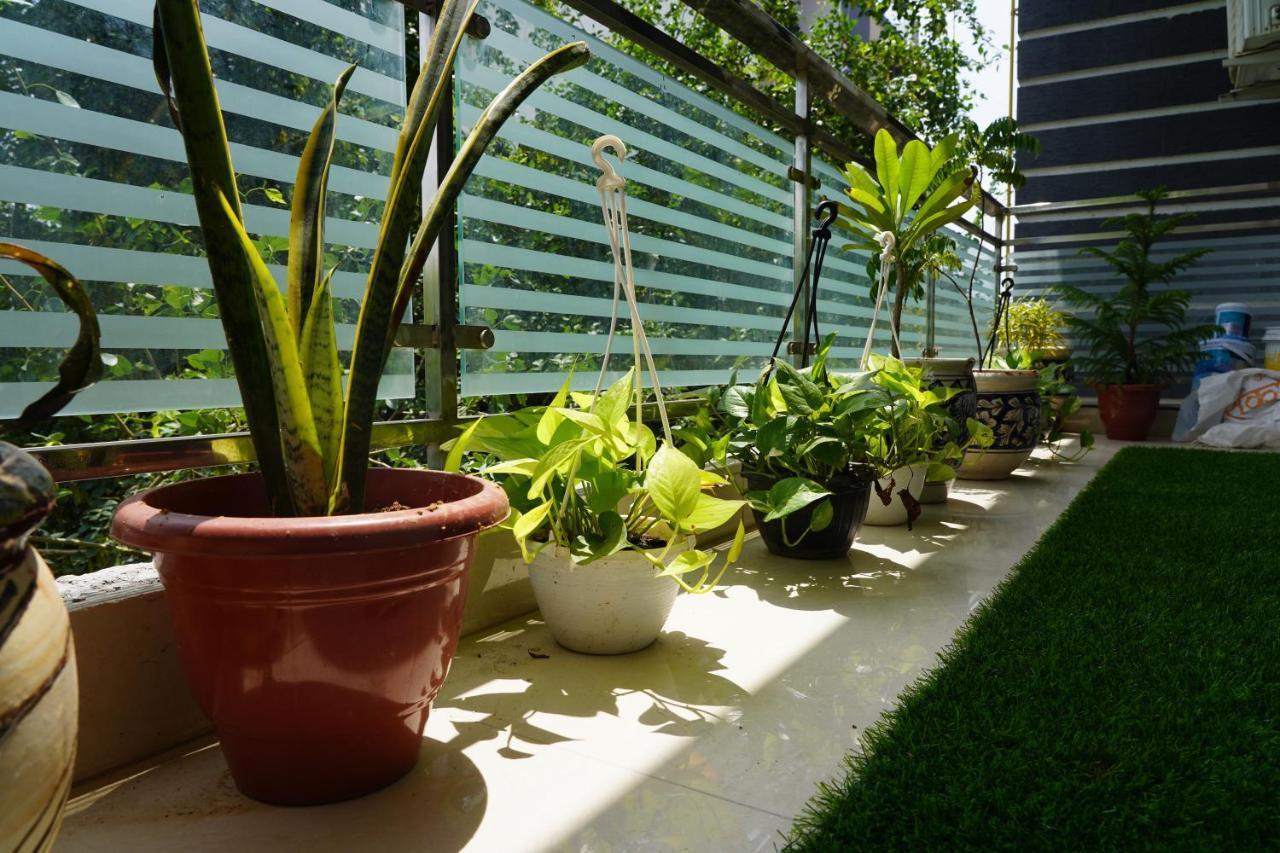 Own Stay نيودلهي المظهر الخارجي الصورة